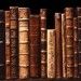 Мечта любого книголюба Мечта любого книголюба