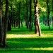 Реконструкция парка Победы в курортном городе Ессентуки Реконструкция парка Победы в курортном городе Ессентуки