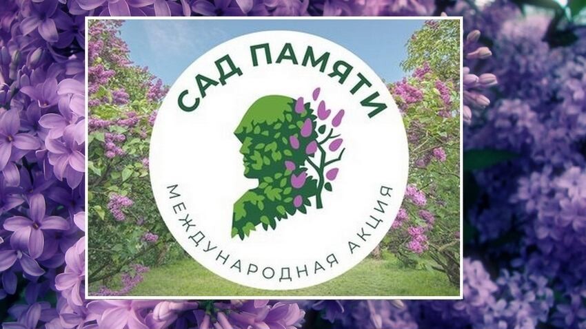 Сад памяти картинка